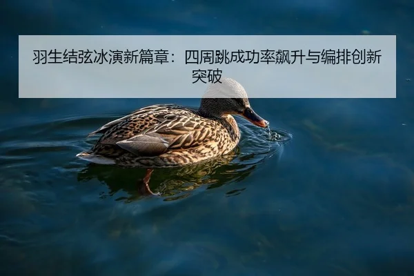 羽生结弦冰演新篇章：四周跳成功率飙升与编排创新突破