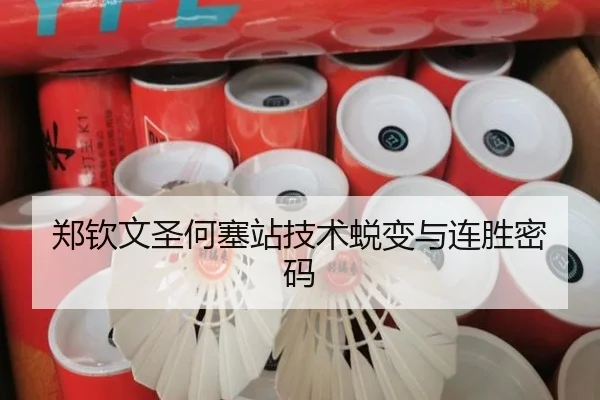 郑钦文圣何塞站技术蜕变与连胜密码