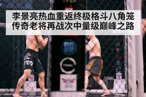 MMA cage fight